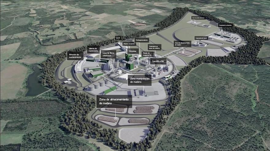 Recogen casi 600.000 firmas contra la construcción de una megafábrica de celulosa en Galicia