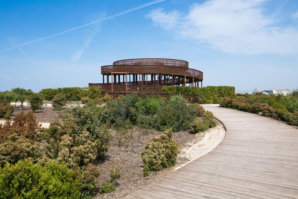 Parque en Valdebebas.