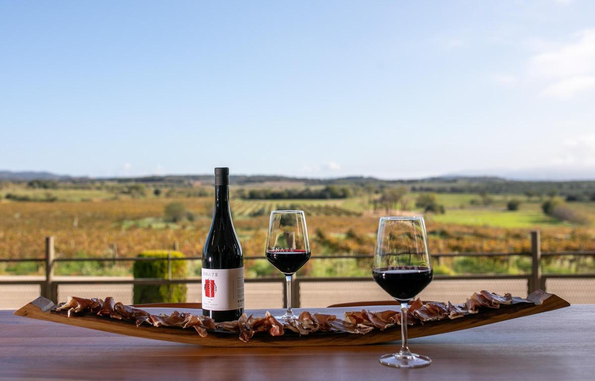 Las vistas desde el winebar Las Artes en las bodejas Laus
