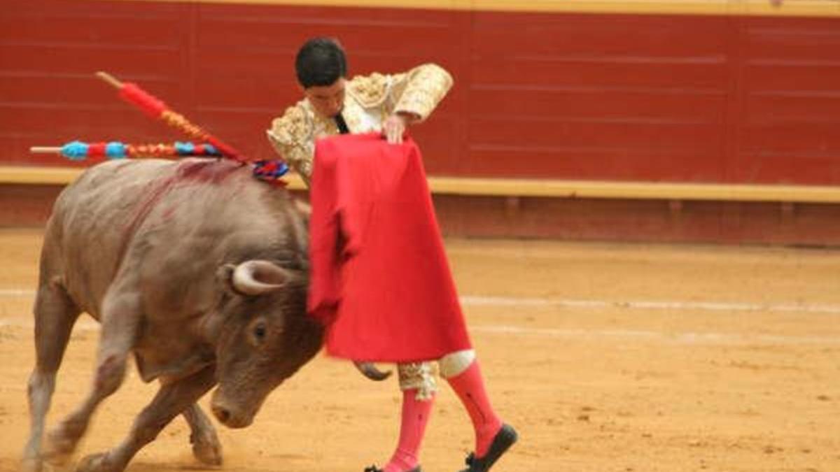 toros