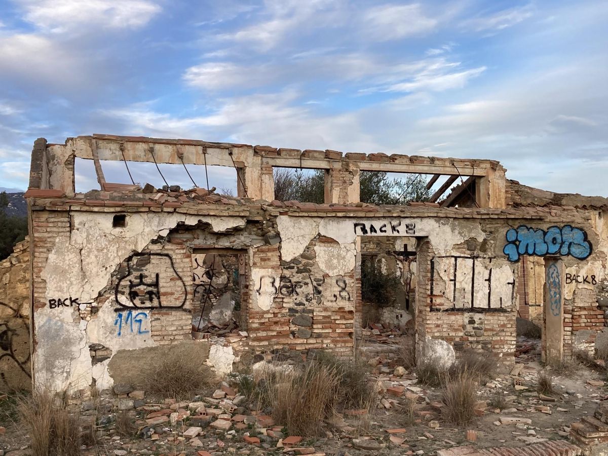 La intervención artística de Julio Anaya, en la pared de lo que fue un casa en mitad de un campo de olivos.