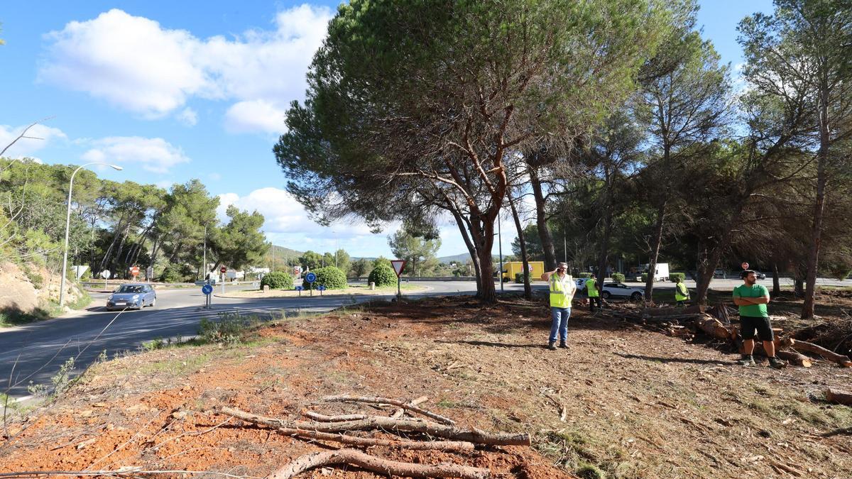 Trabajos de deforestación en el cruce de los Cazadores.