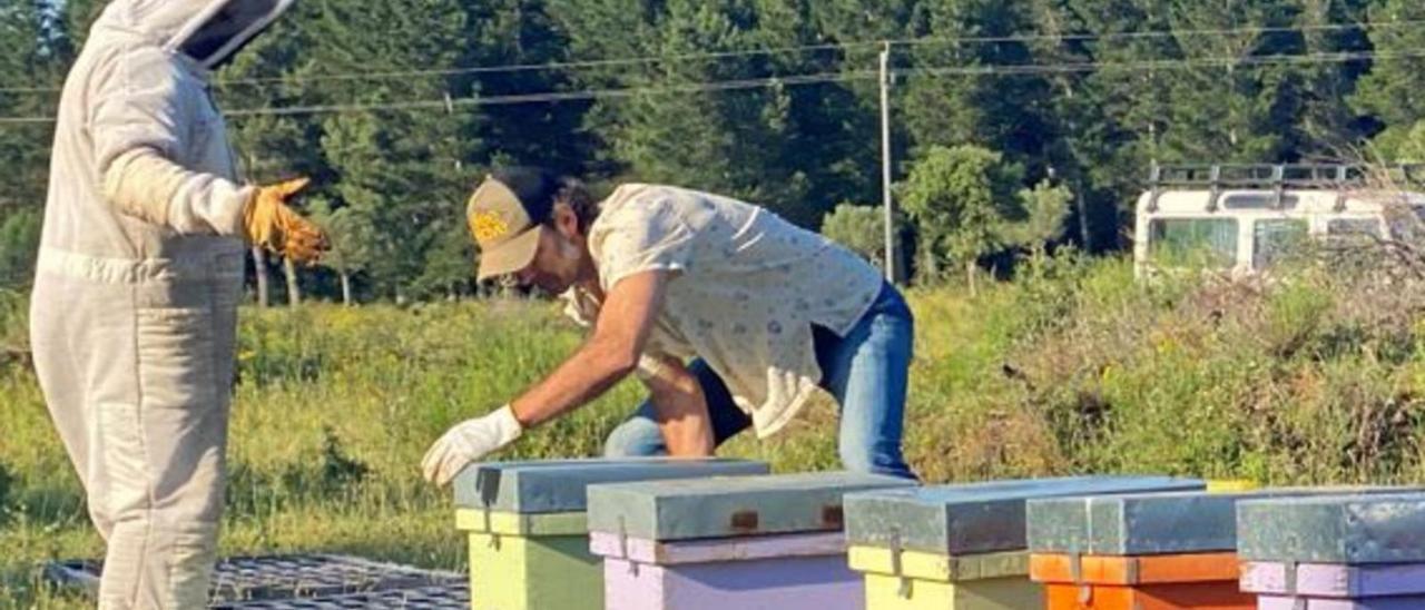 Les abelles es troben ara en un entorn d’alta biodiversitat per seguir la seva activitat