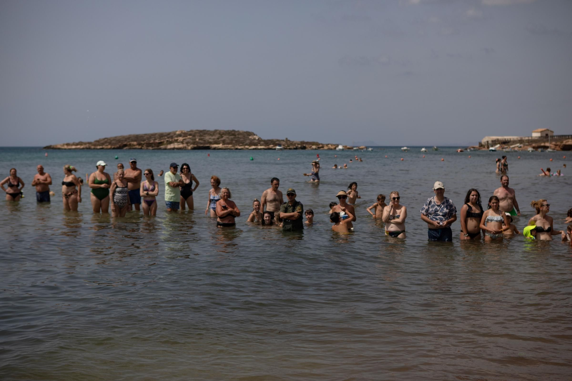 Sueltan 21 tortugas bobas en su hábitat natural en Isla Plana