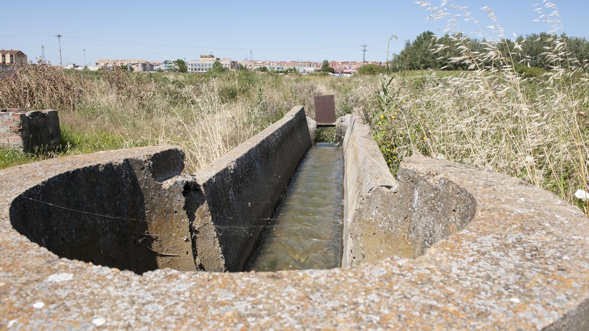 Una acequia del canal del Esla en el término de Benavente, con la ciudad al fondo.