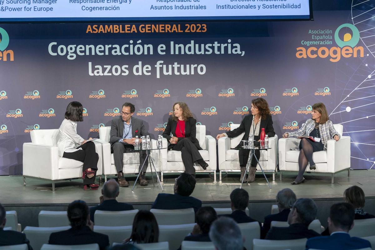 Mesa redonda de la asamblea general de Acogen.