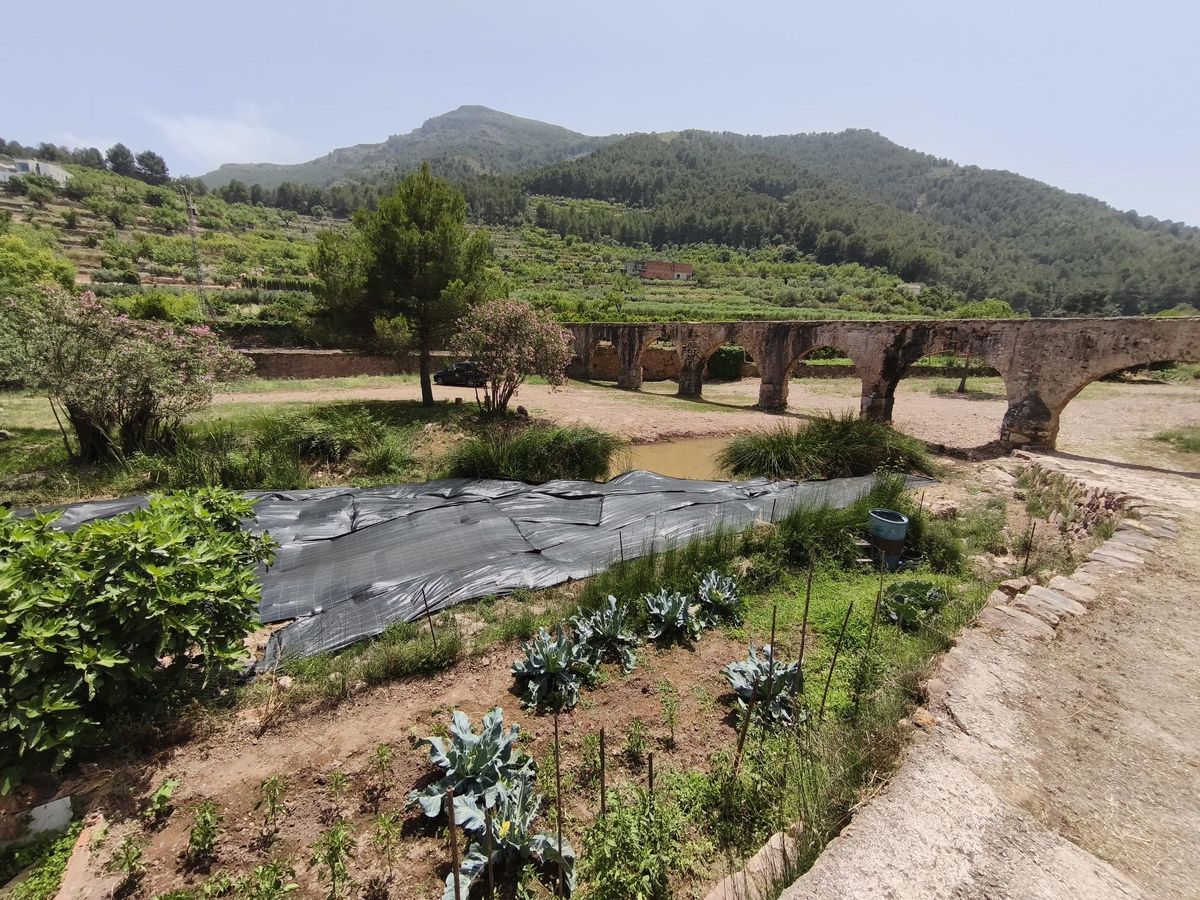 El nou llac no sols embellix el paisatge, sinó que també contribuïx a la funcionalitat i conservació del llit del riu Belcaire.