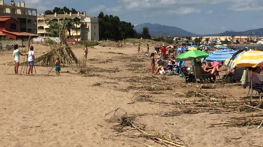 Baño entre cañas en les Marines de Dénia