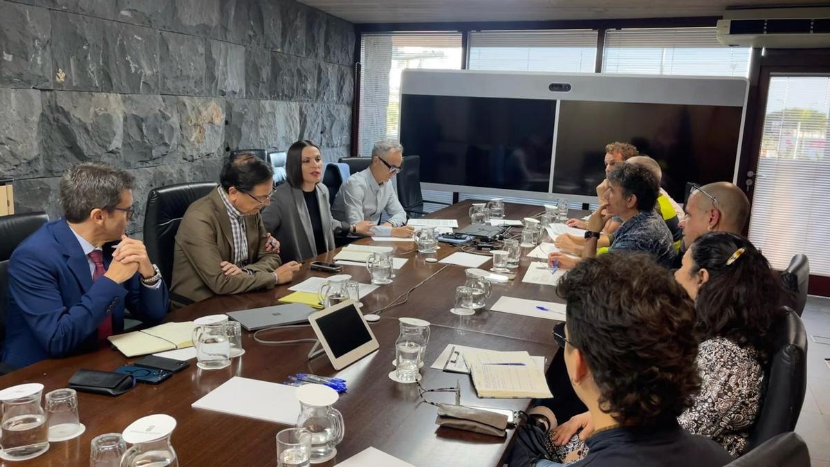 Reunión entre la Consejería de Universidades, Ciencia e Innovación y Cultura y el sector de las artes escénicas, en la sede de Presidencia de Santa Cruz de Tenerife.