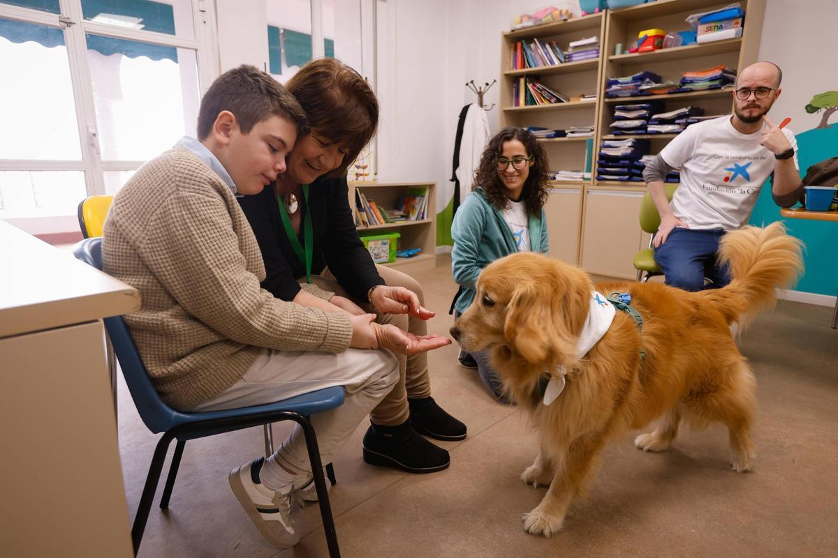 A lo largo de varias sesiones Pedro ha ido perdiendo el miedo a acercarse al perro Toby.