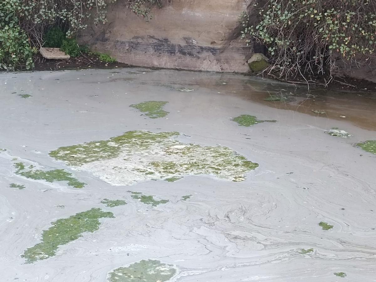 Detalle del mal estado del agua del estanque.