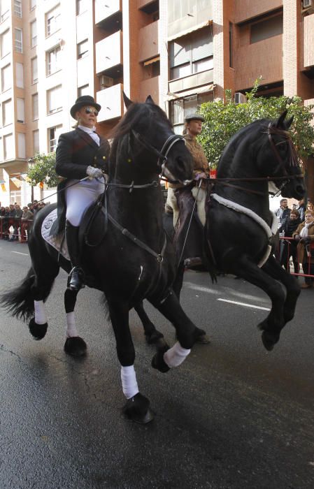 Sant Antoni en Valencia 2017