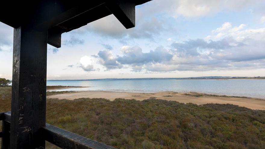 Parque natural de las Lagunas de la Mata y Torrevieja