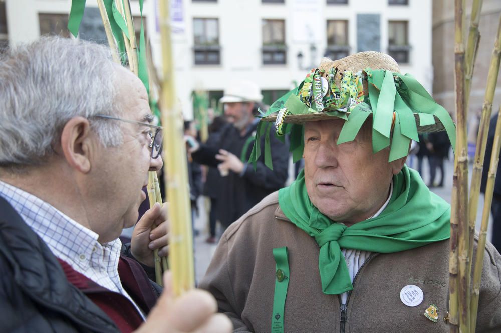 Magdalena 2019: Romeria de les canyes