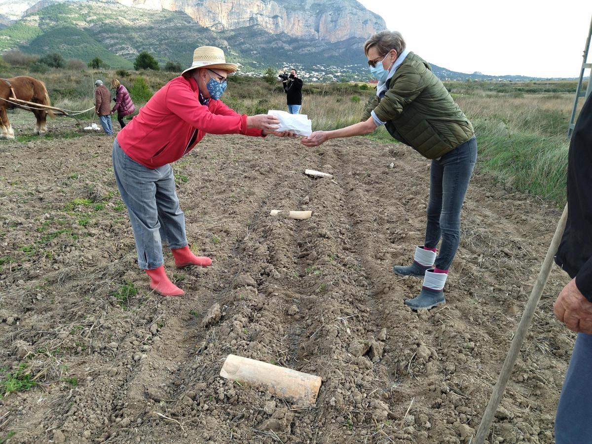 Los agricultores recuperan variedades antiguas y hacen acopio a cada nueva cosecha de semillas