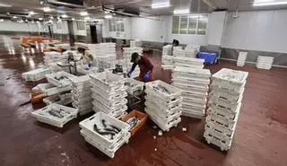 La lonja de Marín lidera las subastas en la ría al bajar a la mitad la facturación de Campelo