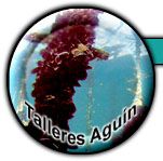 Logo Talleres Aguín