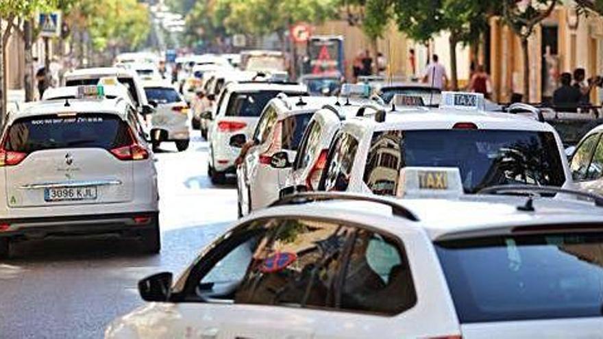 El municipio de Ibiza no tendrá taxis estacionales durante esta temporada