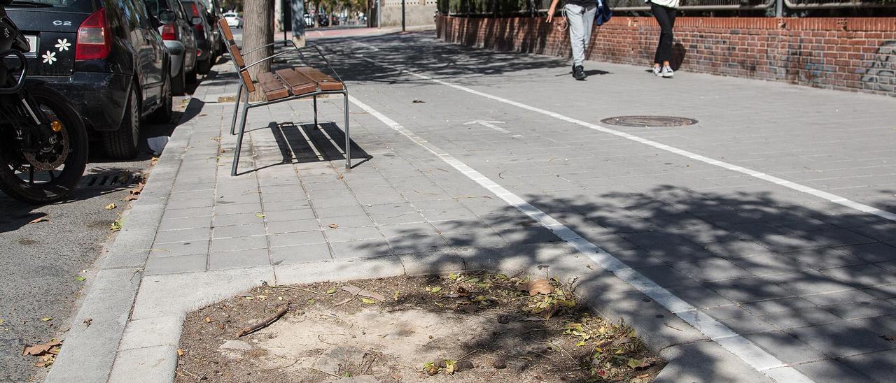 Espacio en la calzada donde hubo árboles, ahora vacíos, en San Blas.