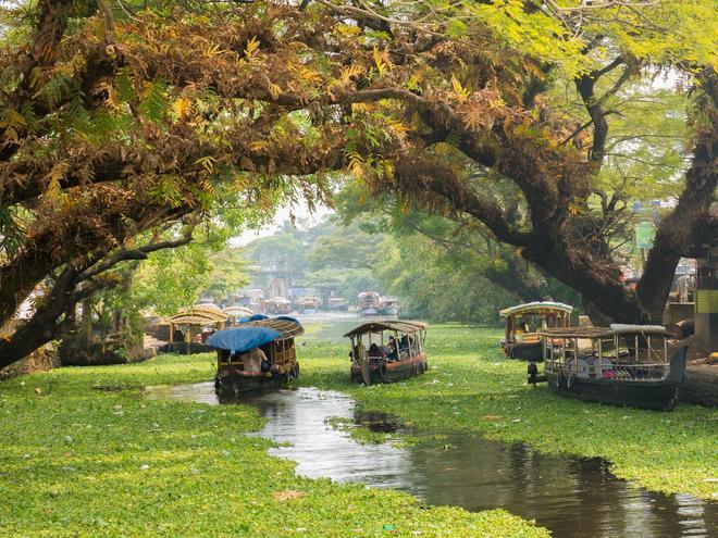 Backwaters, Kerala, India