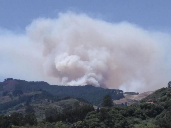 Incendio en la cumbre de Gran Canaria