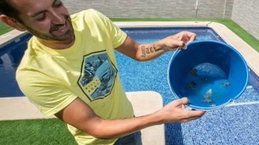 Un vecino sostiene un cubo con las ranas que encontró ayer en su piscina.