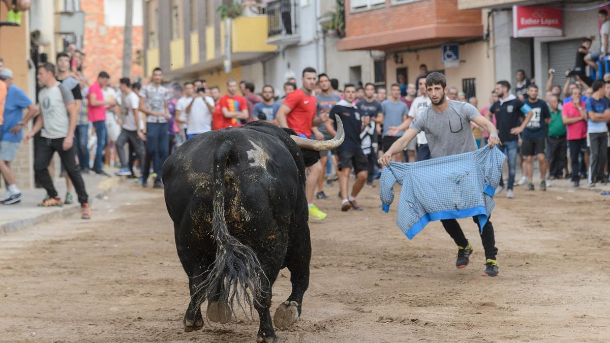 Los bous al carrer, en el centro de la polémica tras los últimos incidentes saldados con varias víctimas mortales en la Comunitat Valenciana.