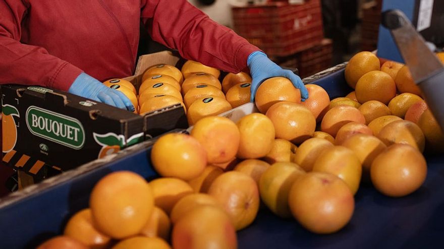 La cooperativa murciana Frucimo entra en el accionariado de Agriconsa