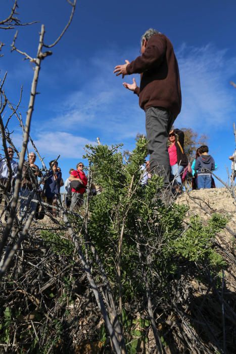 Ruta ecoturistica por el parque natural de La Mata