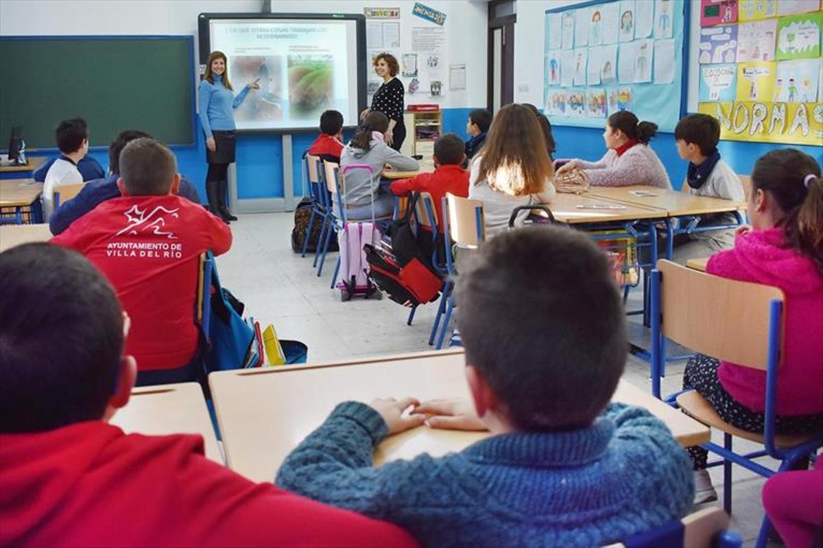 El bienestar de los animales