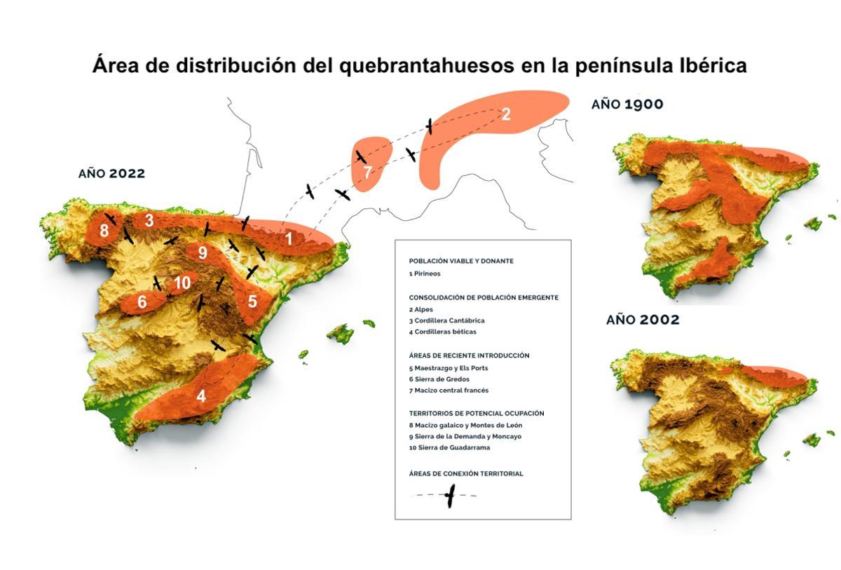 Área de distribución del quebrantahuesos en la península Ibérica.