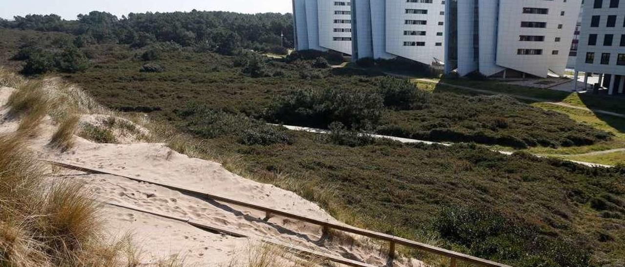 La finca de la polémica, al lado de las últimas construcciones realizadas en El Espartal.