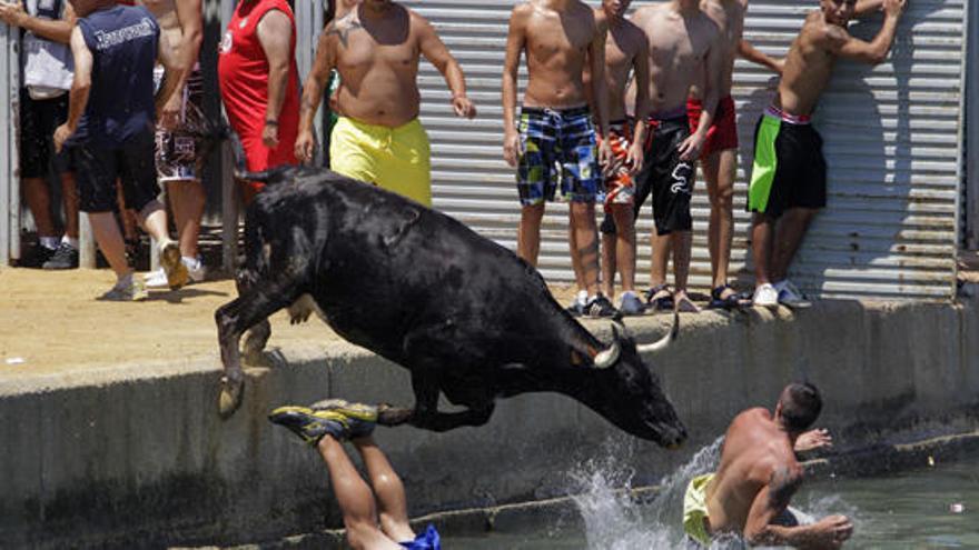 Los «bous a la mar» no se tocan en Dénia