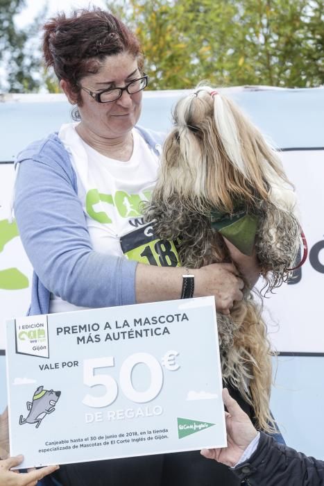 "Can We Run": Deporte, perros y solidaridad toman Gijón