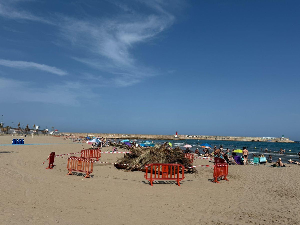 Imagen de la hoguera en Benicarló.