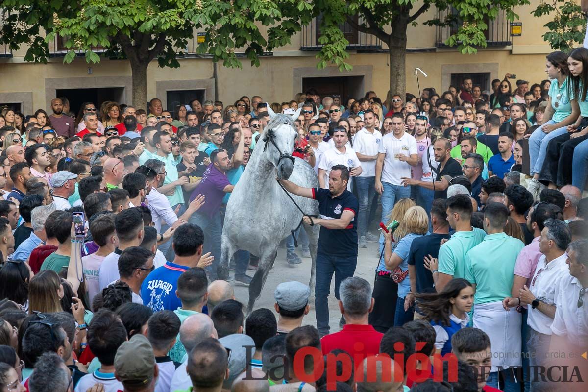 Entrega de premios del concurso morfológico de los Caballos del Vino de Caravaca