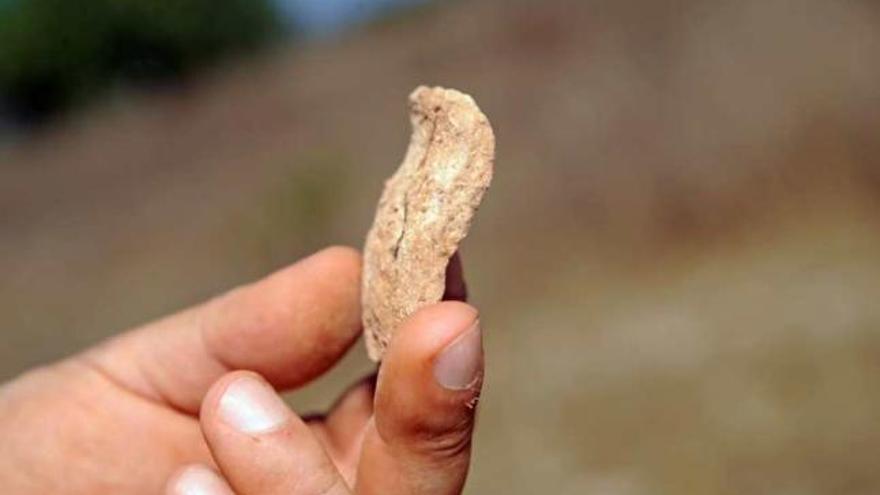 Borde de una cerámica datada en el 1.500 a. C.