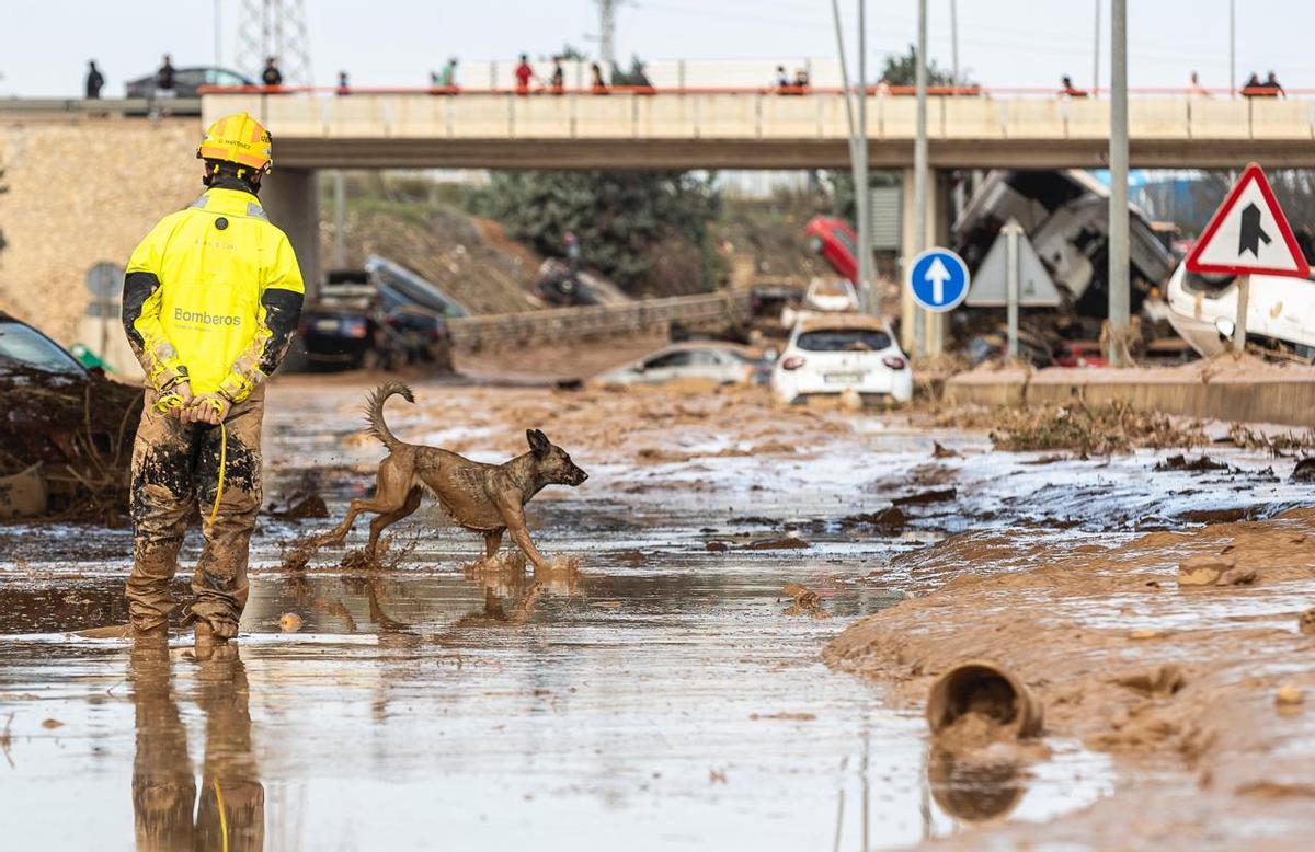 Así está la situación en Algemesí, Torrent y Paiporta tras el paso de la DANA