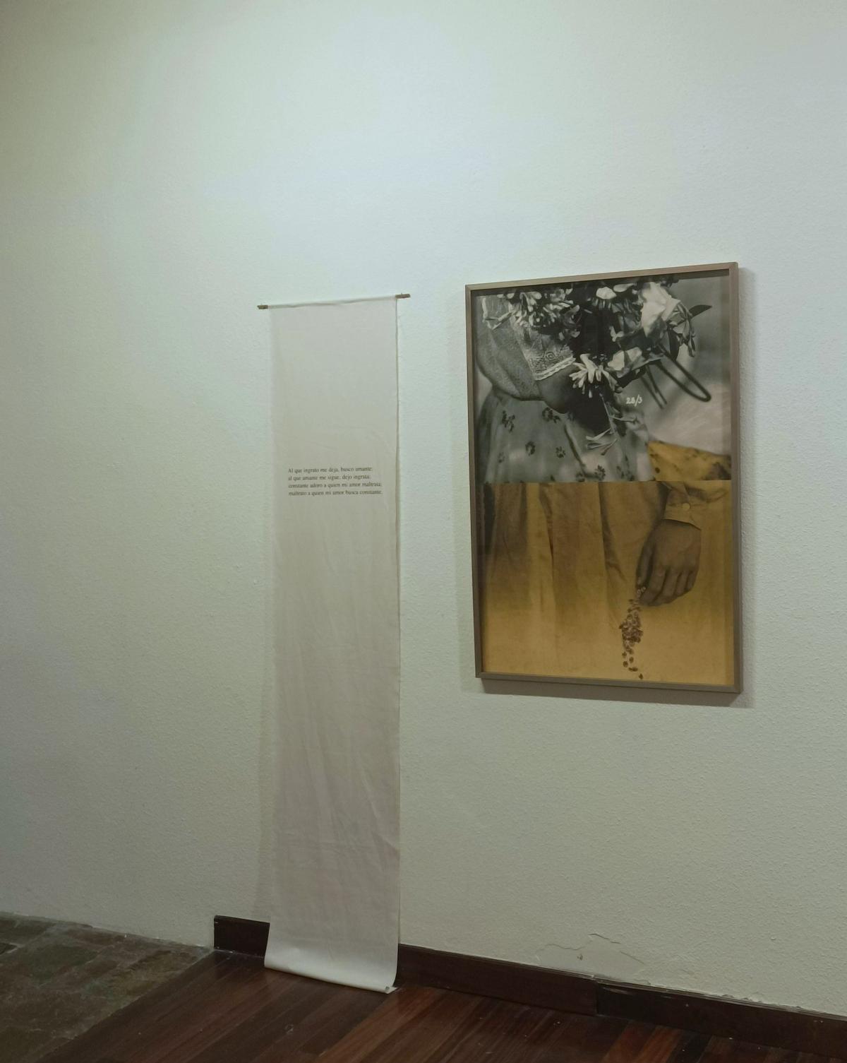 Exposición de  Carmen Santamarina en Grado.