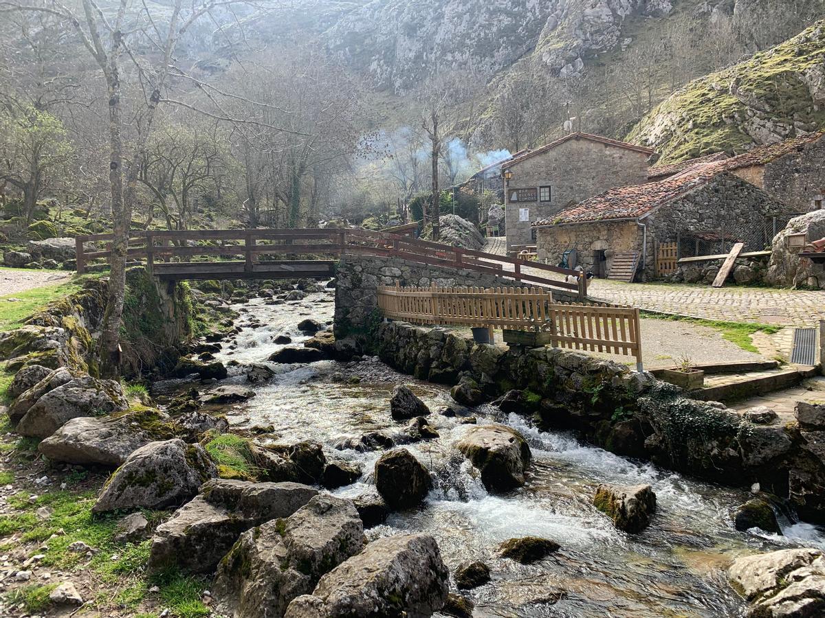 Bulnes.