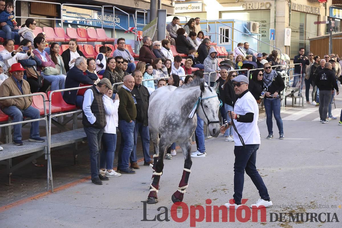 Concurso de caballo a pelo: pasacalles hasta el Hoyo en Caravaca