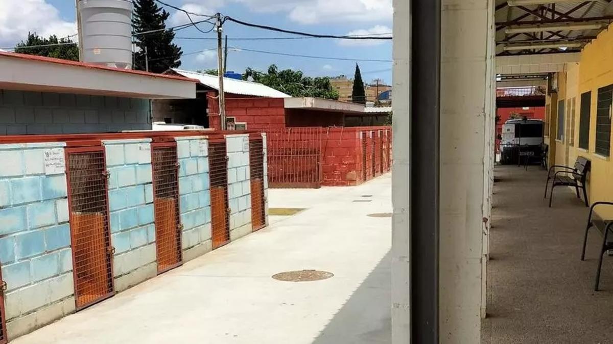 Imagen de las instalaciones del Centro de Protección de Animales de Murcia.