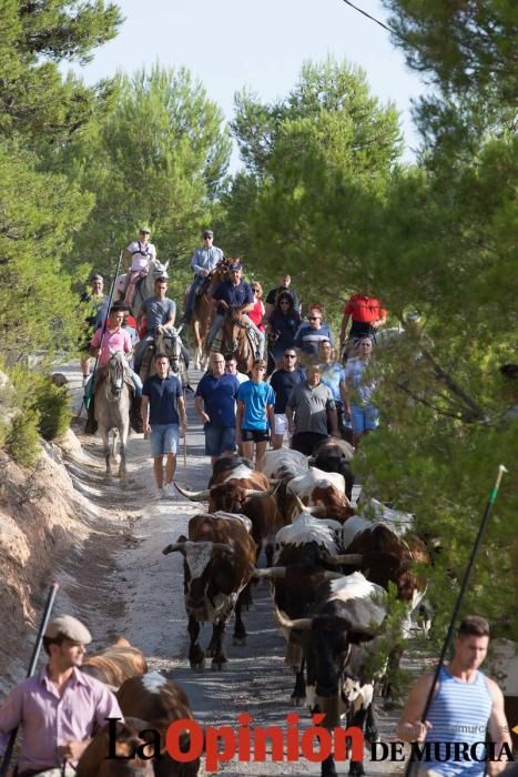 Vereda en Moratalla