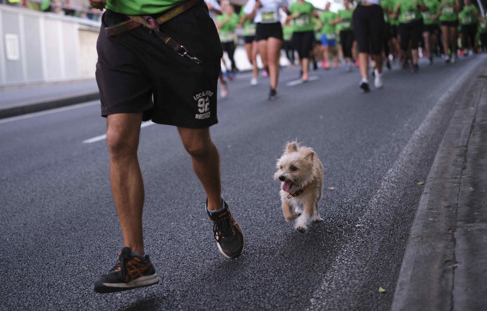 Carrera Binter NightRun