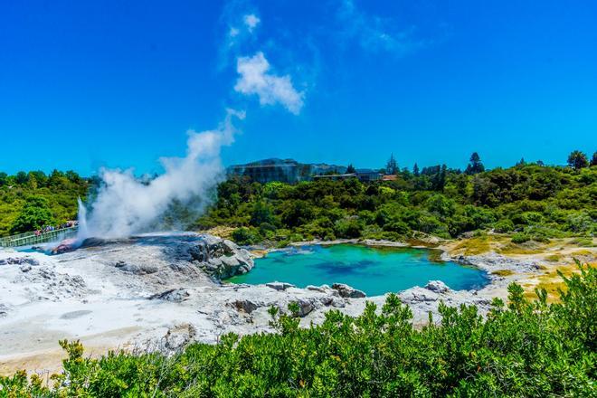 Geyser y piscinas de barro en Rotorua, Nueva Zelanda