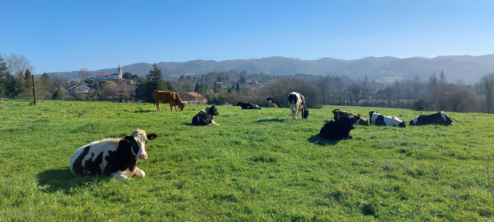 San Cucao, territorio de nobles y castillos, de la huella indiana y del tesoro natural de los Covarones