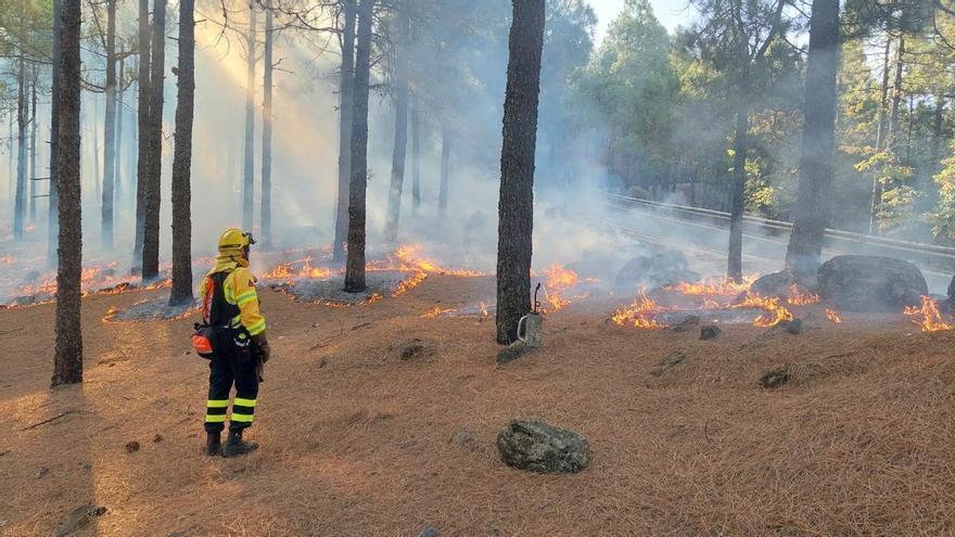 Gran Canaria rebaja el riesgo de incendios y permite las quemas agrícolas autorizadas