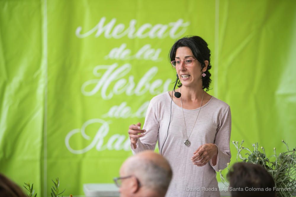 Mercat de les Herbes de la Ratafia a Santa Coloma de Farners 2018