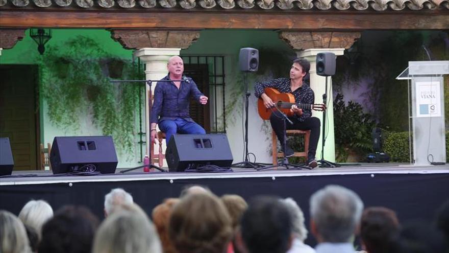 Festival flamenco en Viana