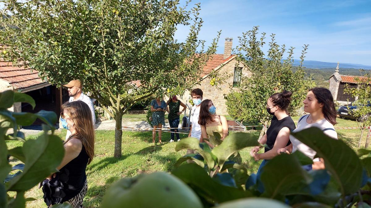 &quot;Influencers&quot; participantes en las Eco Experiencias del Craega, ayer, en la plantación de manzanos de Rabiosa, en Parada de Pardemarín.